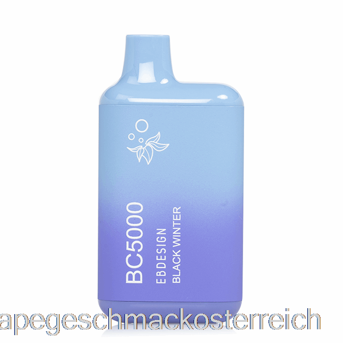 Bc5000 Einweg Schwarzer Winter-Vape-Geschmack